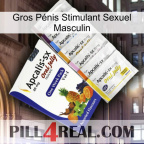 Gros Pénis Stimulant Sexuel Masculin 11